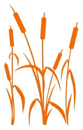 naklejka-welurowa-dekoracyjna-na-sciane-tatarak-nw-42-70-15p-brzoskwiniowy