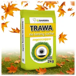 trawa-na-tereny-suche-2kg-wysoce-odporna-na-susze-nasiona-mocna-80m2