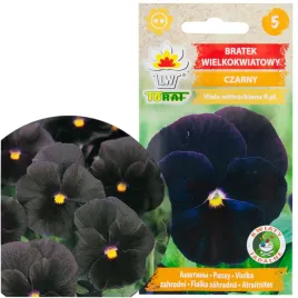 bratek-wielkokwiatowy-czarny-02g-nasiona-bratkow-kwiaty-na-rabaty-toraf