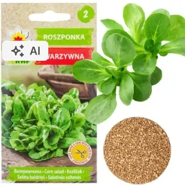 roszponka-warzywna-nasiona-roszponki-bogate-w-witaminy-salata-1g-witamina-c