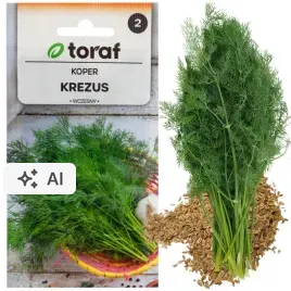 koper-nasiona-kopru-ogrodowy-krezus-wczesny-do-kiszenia-5g-aromatyczny