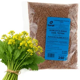 gorczyca-biala-nasiona-poplon-paszowa-roslina-miododajna-szybkorosnaca-250g