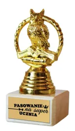 statuetka-sowa-pasowanie-szkola-uczen-pasowanie-na-super-ucznia-pou03