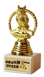 statuetka-sowa-pasowanie-na-ucznia-szkola-przedszkole-super-uczen-pou07
