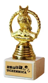 statuetka-sowa-pasowanie-na-ucznia-szkola-przedszkole-super-uczennica-pou06
