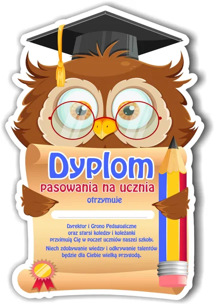 Dyplom pasowanie na ucznia sowa szkoła a4 10szt PR 71
