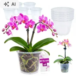 doniczki-produkcyjne-przezroczyste-storczyk-14cm-5szt