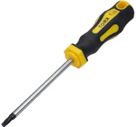 wkretak-torx-t25x100-mm