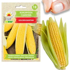 kukurydza-nasiona-kukurydzy-cukrowa-oryginalne-slodka-smaczna-20g