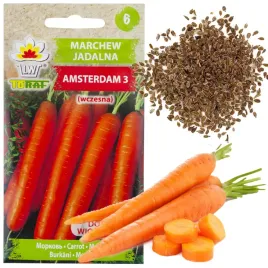marchew-amsterdam-3-nasiona-marchwi-5g-amsterdamska-wczesna-soczysta-odmian