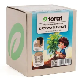 drzewo-tlenowe-paulownia-omszona-toraf-oxygen-tree-zestaw-z-doniczka