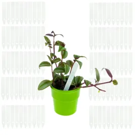 etykiety-tabliczki-do-opisywania-roslin-nasion-sadzonek-znaczniki-az-100szt