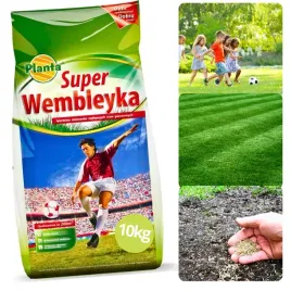 trawa-nasiona-trawy-wembleyka-sportowa-odporna-na-deptanie-dekoracyjna-10kg