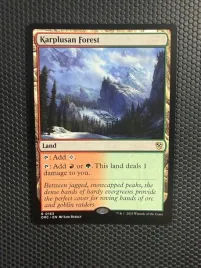 karta-magic-the-gathering-karplusan-forest-drc-163