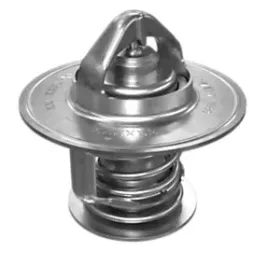 termostat-caterpillar-3126-3208-c9
