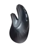 mysz-trust-verro-ergonomic-wireless-mouse-interfejs-usb-radio-2-4-ghz