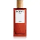 loewe-solo-cedro-edt-100-ml