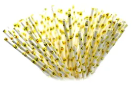 slomki-papierowe-205x6-mm-eko-w-usmieszki-10-szt