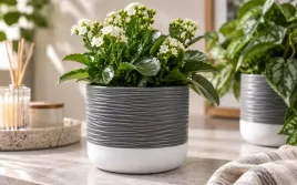 oslonka-ceramiczna-dwukolorowa-16-cm-peony-szara
