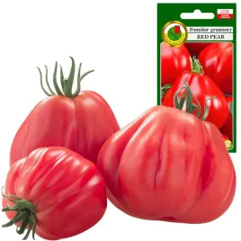 pomidor-gruntowy-wczesna-red-pear-nasiona-bez-gmo-05g