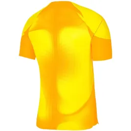 nd05-k13475-m-dh7760-719-koszulka-meska-nike-dri-fit-adv-gardien-iv-gk-jsys