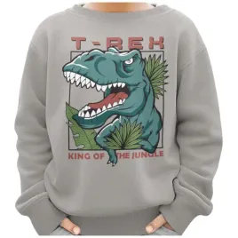 bluza-dziecieca-dinozaur-z-nadrukiem-ciemnoszara-146
