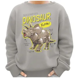 bluza-dziecieca-dinozaur-z-nadrukiem-ciemnoszara-140