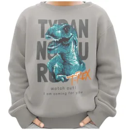 bluza-dziecieca-dinozaur-z-nadrukiem-ciemnoszara-122