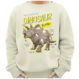 bluza-dziecieca-dinozaur-z-nadrukiem-waniliowa-146