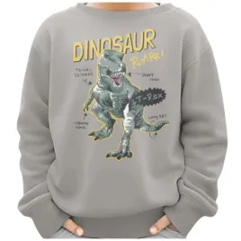 bluza-dziecieca-dinozaur-z-nadrukiem-ciemnoszara-146