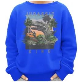 bluza-dziecieca-dinozaur-z-nadrukiem-niebieska-146