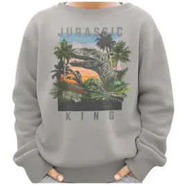 bluza-dziecieca-dinozaur-z-nadrukiem-ciemnoszara-140