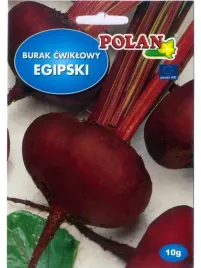burak-d-egypte-egipski-odmiana-wczesna-bardzo-plenna-10g-nasiona