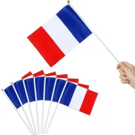 brelet-40-sztuk-malych-flag-francuskichz-plastikowym-patyczkiem-14-x-21-cm
