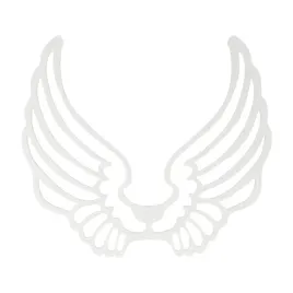 skrzydelka-skrzydla-anielskie-biale-aniol-duze