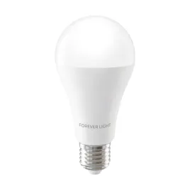 forever-light-zarowka-led-e27-a65-17w-2100lm-4000k-klasa-e