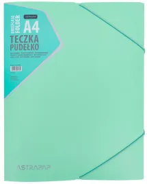 teczka-pudelko-z-gumka-a4-pastel-line-astra-zielona