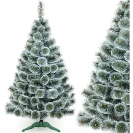 choinka-zylka-klara-sniezna-200cm-saska-garden