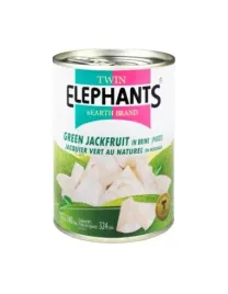 jackfruit-w-slonej-zalewie-twin-elephants-540-g