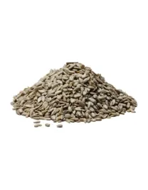 slonecznik-luskany-ziarno-tar-groch-1-kg
