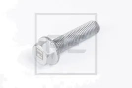 sruba-podstawy-poduszki-bpw-m16x65-pe-automotive-045-775-00a