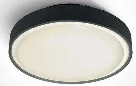 plafon-zewnetrzny-one-light-rafti-2-2x12-w-ip65-czarny