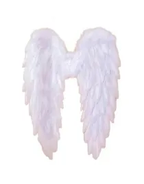 shein-biale-skrzydla-aniola-s07