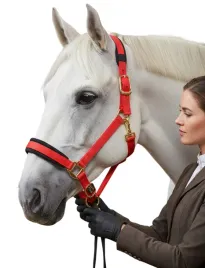 kantar-wozniczka-kiel-dla-konia-t-teke-regulowany-nylon-czerwony-pony