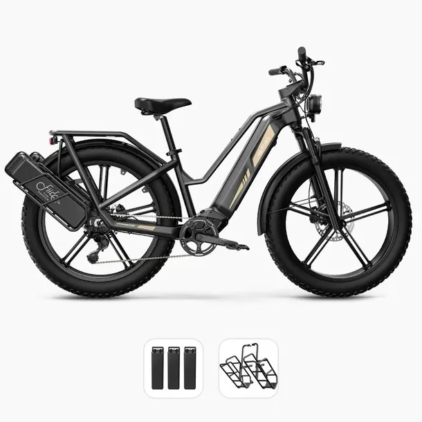 Zestaw dodatkowych baterii do Fiido Titan 2x14.5Ah