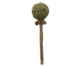 trixie-zabawka-dla-kota-lizak-matatabi-11cm-42430
