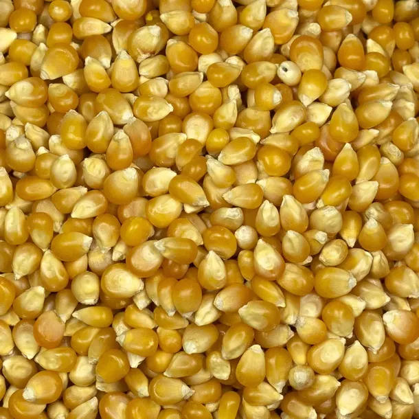 popcorn-5kg-kod-producenta-5905514514836