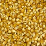 popcorn-5kg-kod-producenta-5905514514836