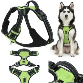 szelki-dla-psa-guard-zielone-regulowane-huggy-doggy-husky-border-collie-l