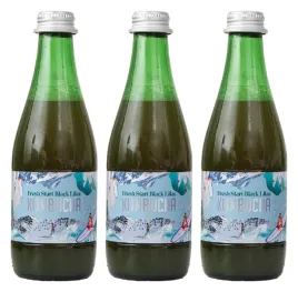 kombucha-bio-vegan-o-smaku-kwiatu-czarnego-bzu-330-ml-3-szt-by-laurent